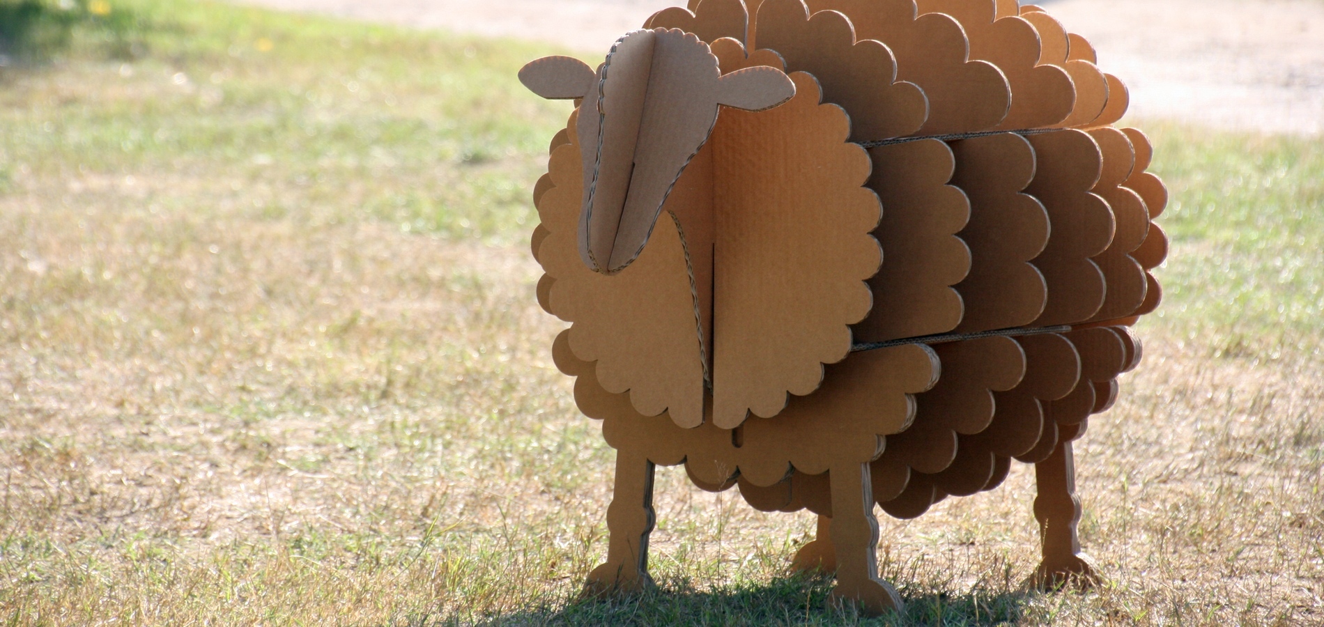 Nur für den Herdenworkshop 06/2019