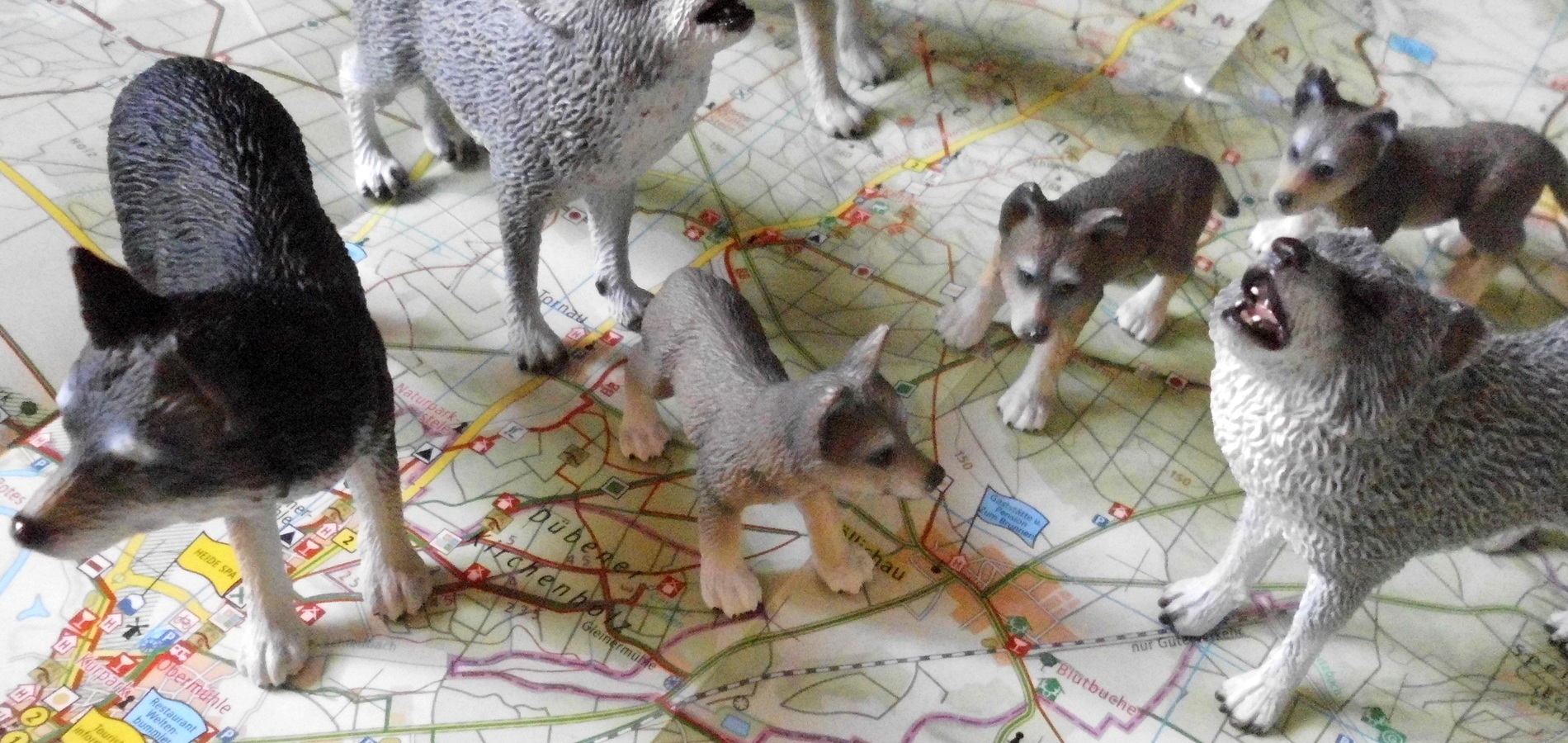 Nur für den Herdenworkshop 06/2019