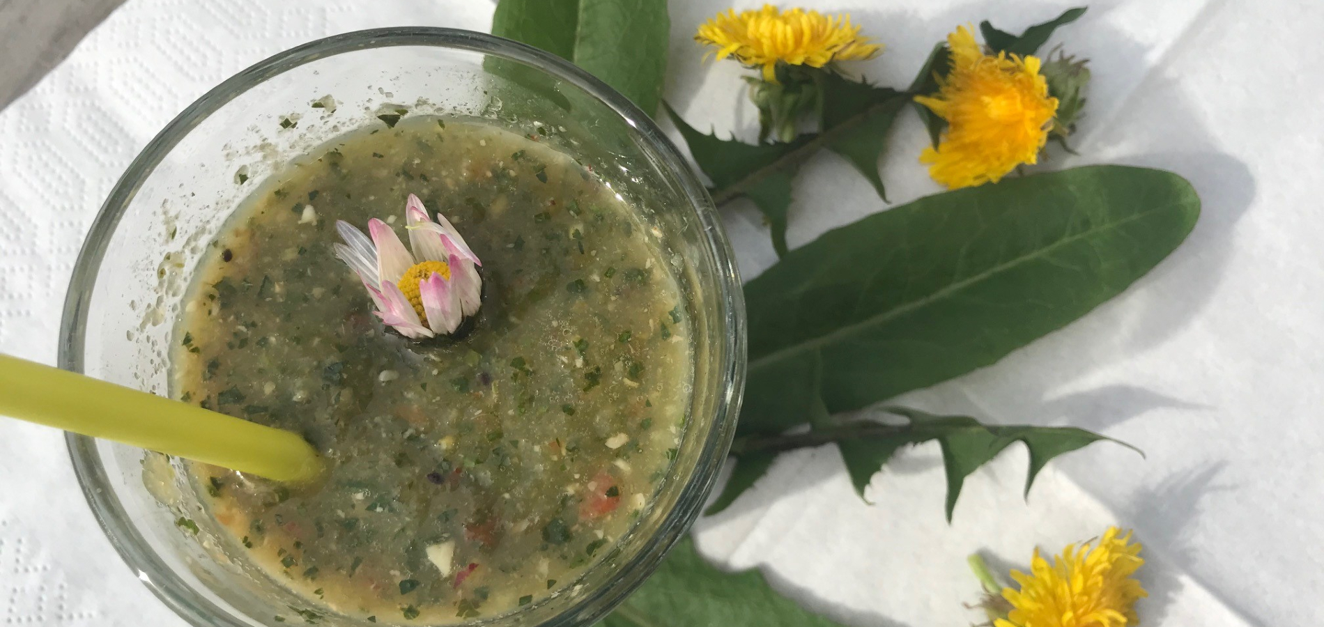 Löwenzahn Smoothie für die Frühjahrskur (C) VDH